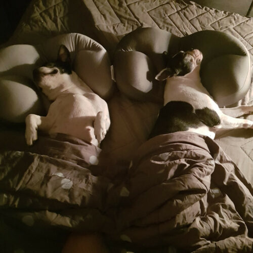 EecdBFlygZqXivRnkQk8ADfDJkG4odg6iOMTEvw2